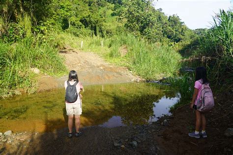 Salto Curet - An Off-The-Beaten-Path Waterfall Near Maricao