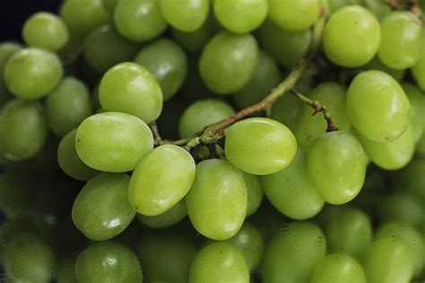 Numerous Health Benefits Of Consuming Green Grapes