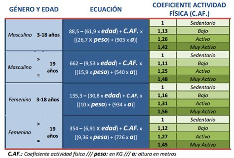 Grüßen Verengt verbrannt calcular calorias diarias Bestäuber Versuch Masaccio