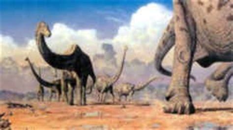 Astrodon Pictures & Facts - The Dinosaur Database