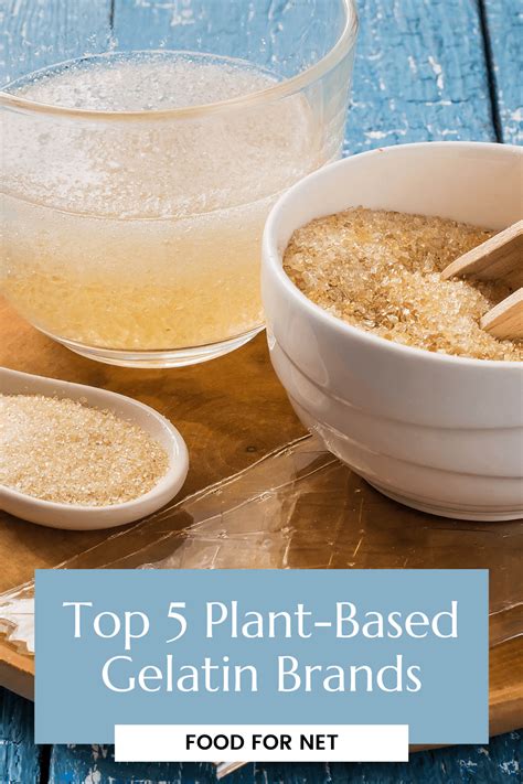 5 Best Plant-Based Gelatin Brands | Food For Net