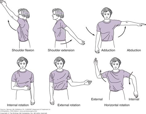 What do you mean my shoulder is frozen? - Lawrence Park Health and ...