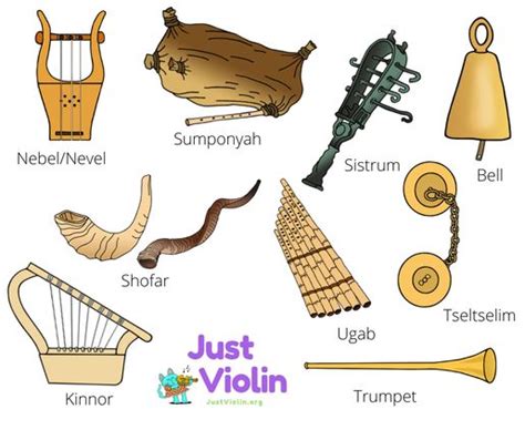 different types of musical instruments and their names