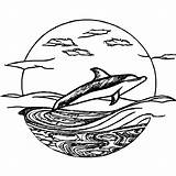 Dolphin Leaping Smiling Surfing A Wave Coloring Page · Creative Fabrica sketch template