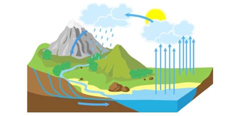 Water Cycle Exam: Quiz! MCQ - Trivia & Questions
