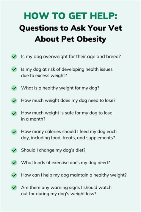 How Much Exercise Does a Dog Need? | Great Pet Care