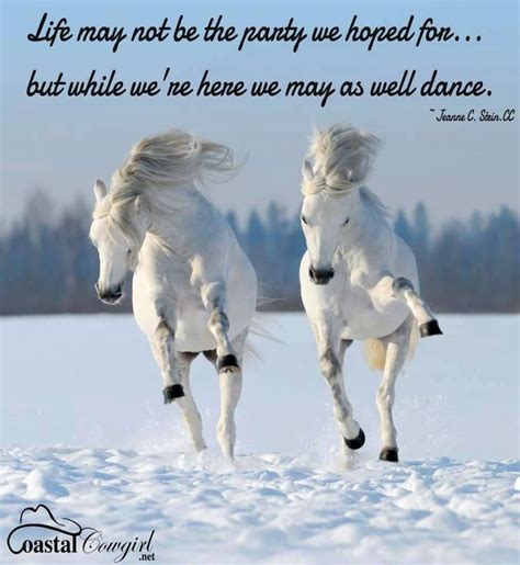 422 best Horse Quotes images on Pinterest