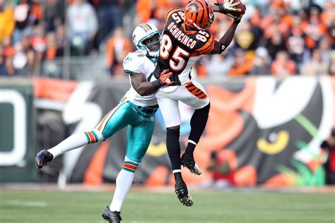 Former Bengals Wide Receiver Chad Ochocinco To Workout With The Miami ...