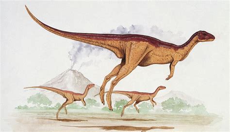 Three Dinosaur Running Photograph by Deagostini/uig/science Photo Library - Fine Art America