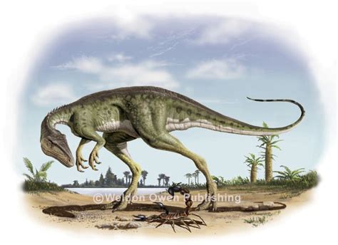 Alwalkeria "Alick's Walker" Prehistoric Dinosaurs, Prehistoric Creatures, Paleo Art, Extinct ...