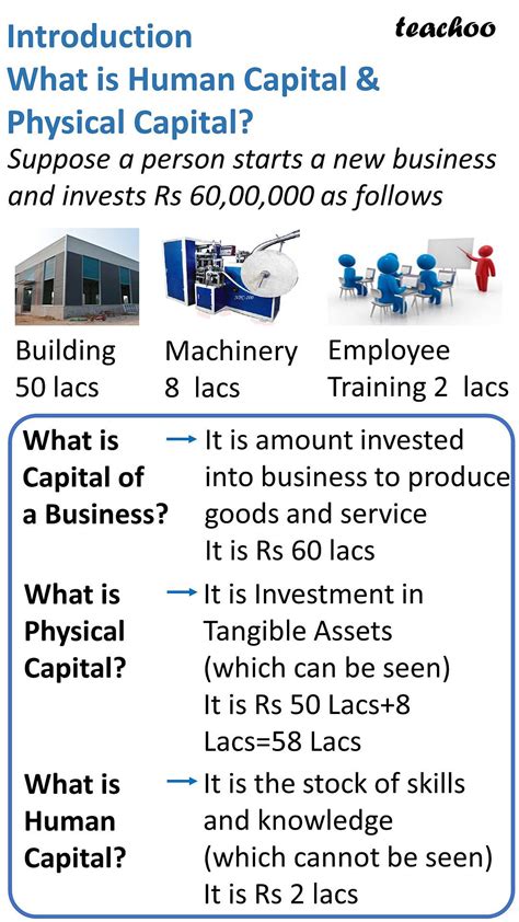 Chapter 5 IED Human Capital Formation In India - Economics Class 12