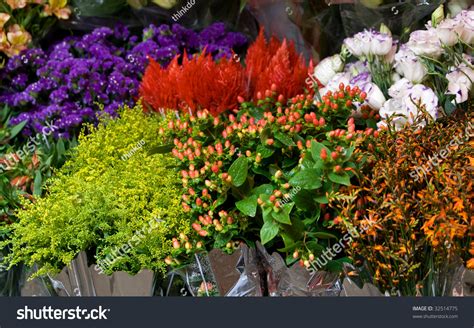 Fresh Flower Market Stock Photo 32514775 : Shutterstock