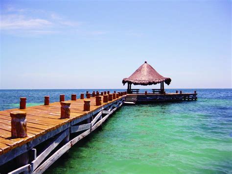 Diving with Whale Sharks in Mexico | Outsider Magazine