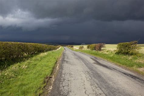 Dark sky landscape stock photo. Image of flora, stormy - 24450238