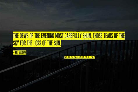 The Evening Sun Quotes: top 39 famous quotes about The Evening Sun