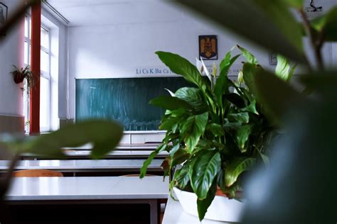 Empty light classroom with blackboard and desks · Free Stock Photo