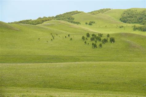 Temperate Grasslands Biome: Location, Climate, Temperature, Plants and Animals | Conserve Energy ...