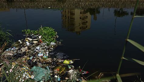 Just How Polluted is the Nile? | Egyptian Streets