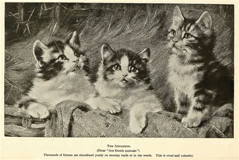 A History of Cats: 1858-1922 - Biodiversity Heritage Library