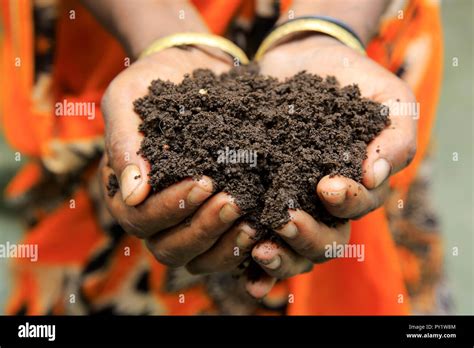 Farmer holding organic fertilizer. Manikganj, Bangladesh Stock Photo - Alamy