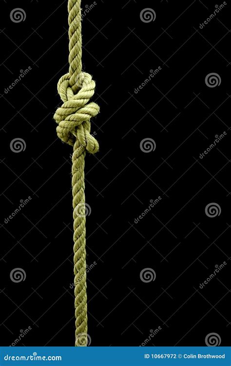 Surgeon s Knot stock photo. Image of safe, diagonal, tied - 10667972