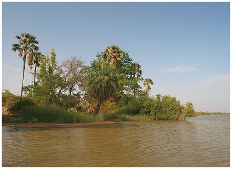 Gambia River Foto & Bild | the gambia Bilder auf fotocommunity