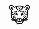 Easy Coloring Jaguar Image  Page sketch template