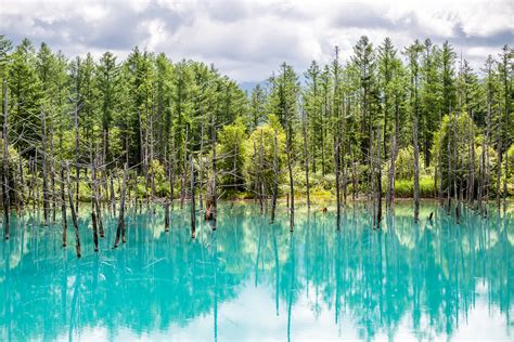 Blue Pond - Hokkaido Guide