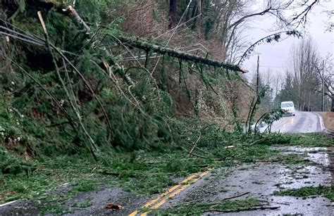 Oregon Wind Storm Claims At Least Four Lives