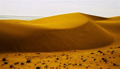 Mui Ne Sand Dunes #6 Free Stock Photo - Public Domain Pictures