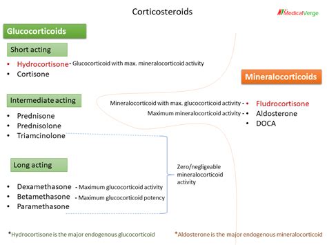 Corticosteroids: action, uses, side effects & steroid withdrawal syndrome - MedicalVerge