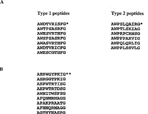 Peptide sequences derived from the phage display library by affinity... | Download Scientific ...