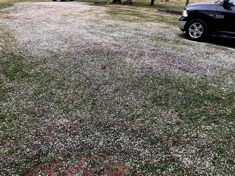 Temps Plummet & Graupel! | Blue Ridge Life Magazine