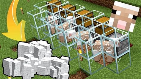 How to make a wool farm in Minecraft