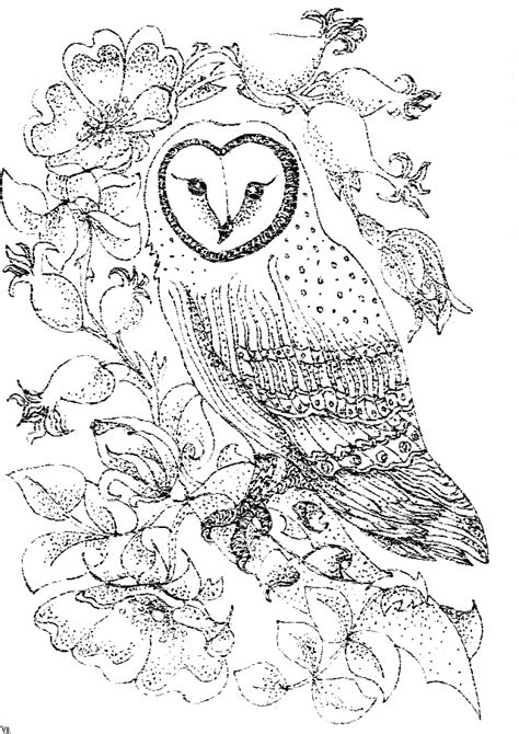 Bird Coloring Pages: Barn Owl and Wild Roses