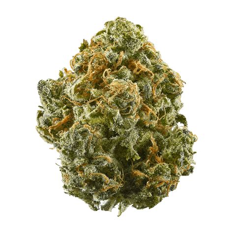 Ice Cream Cake Strain | Sweet and Creamy | Flavor Fix