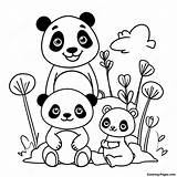 Mimi Panda Family Coloring Page  Pagescom sketch template