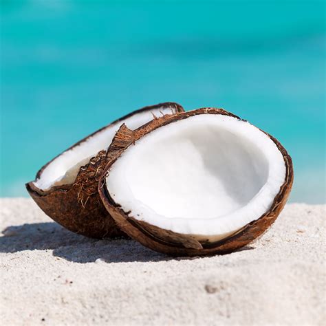 Caribbean Coconut Fragrance Oil 108 - Wholesale Supplies Plus