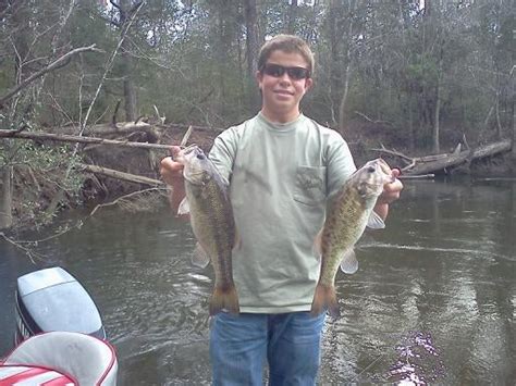 Shoal Bass - Pensacola Fishing Forum