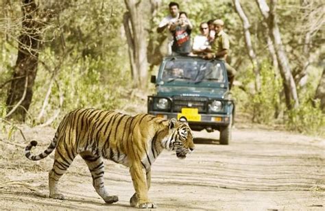 Top 10 Wildlife Sanctuaries and National Parks in Uttarakhand - Tusk Travel Blog