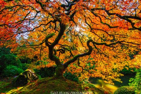 Relax With These 20 Amazing Shots Of Fall Colors In Oregon