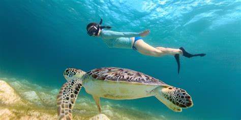 Los mejores 5 lugares para hacer snorkel en Puerto Vallarta | Somos ...