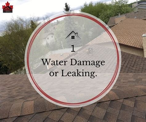 Warning signs you need a new roof: Water Damage or Leaking. Most homeowners think a leaky roof ...