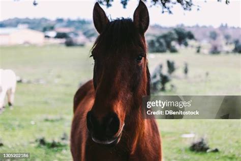 40 Frontal Boundaries Stock Photos, High-Res Pictures, and Images ...