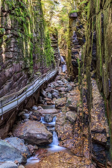 Flume Gorge in Franconia Notch NH Photograph by Pierre Leclerc Photography