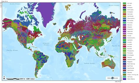 Soil Map Of World