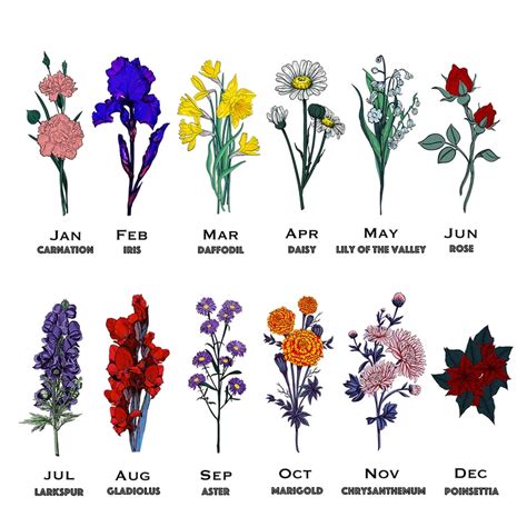 Flower Bouquet Name Generator