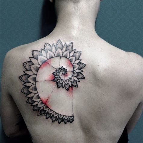 15 Hypnotizing Fibonacci Spiral Tattoos | Spiral tattoos, Fibonacci ...