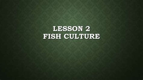 Lesson 2 fish culture | PPT