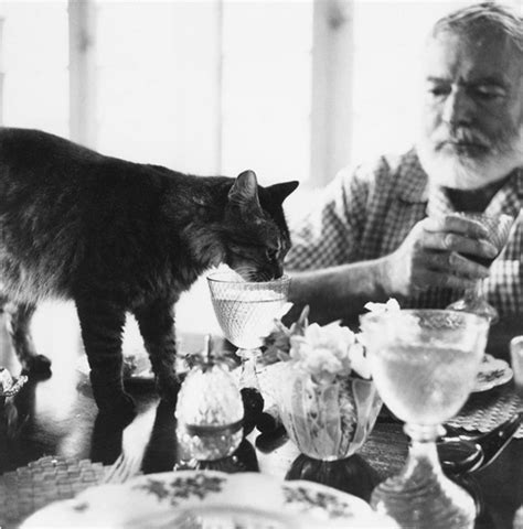 The Legacy of Hemingway's Six-Toed Cats | The Marker Key West